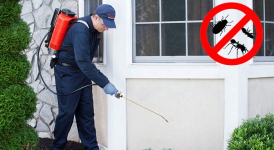 Kumru Akrep İlaçlama böcek ilaçlama ve haşere kontrolü — ilaclama-tr.com
